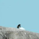 user-avatar